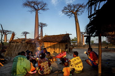 People in a small village near an avenue of baobabs (Adansonia Grandidieri). The villagers say the baobabs are like ancestors having always been growing beside the village.