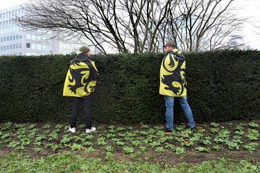 Two men wrapped in flags of Flanders urinate against a hedge as a crowd, estimated at about 5000 people, held a rally against the UN migration pact signed a week before by a Belgian minority governmen...