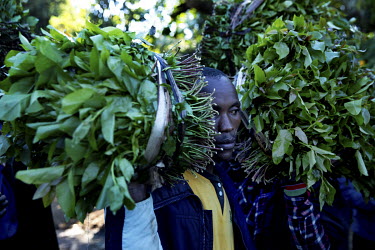 A man carries bales of khat at Athiru Gaiti's (Atherogaitu) khat market, where it sells at about 600 Shilling (GBP 4.62) Kenya per kilo. Before the drug was banned in the UK the export of khat to the...