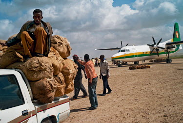 People unload hessian sacks full with khat. Each day, five planes fly in from Nairobi, stuffed with kat, and land at the private airport built by the war lord Mohamad Kanyare. From 10 am on hundreds o...