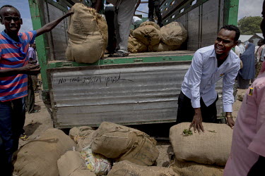 Hessian sacks stuffed full of khat is unloaded from a truck after arriving from the airport. Every morning two big trucks arrive from the airport filled with Khat. Khat must be fresh, so within 10 min...