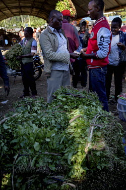 A man buys bales of khat at Athiru Gaiti's (Atherogaitu) khat market, where it sells at about 600 Shilling (GBP 4.62) Kenya per kilo. Before the drug was banned in the UK the export of khat to the UK...