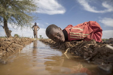 A boy looks along a water channel on land that is part of a farmer-managed natural regeneration (FMNR) scheme. This helps prevent and reverse desertification. The trees left on the land, rather than b...