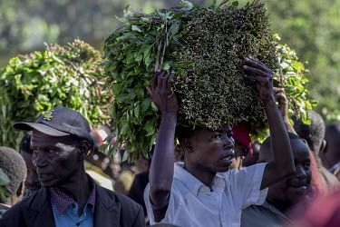 Men carrying bales of khat at Athiru Gaiti's (Atherogaitu) khat market, where it sells at about 600 Shilling (GBP 4.62) Kenya per kilo. Before the drug was banned in the UK the export of khat to the U...