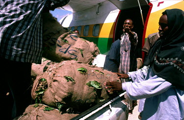 People unload hessian sacks full with khat. Each day, six planes fly in from Nairobi, stuffed with kat, and land at the private airport built by the war lord Mohamad Kanyare. From 10 am on hundreds of...