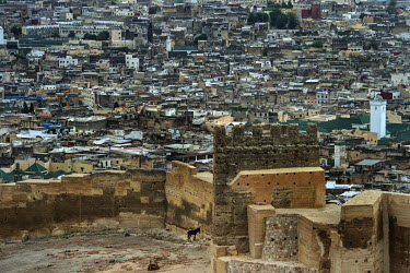 The old city walls and housing beyond in the city medina.