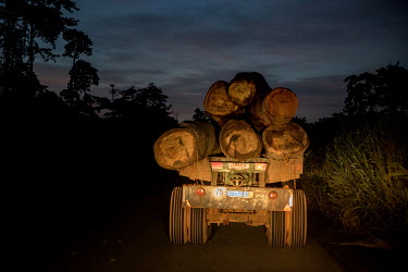 A truck carries logs along a road at night.