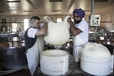 Sikh migrant workers making Parmesan Reggiano cheese at the Roncocesi dairy factory.