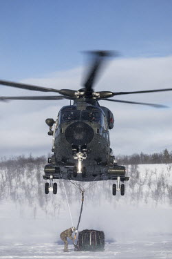 A British Merlin helicopter comes in to land to pick up a load during exercise Clockwork in the Arctic.  845 Naval Air Squadron is a squadron of the Royal Navy's Fleet Air Arm. Part of the Commando...