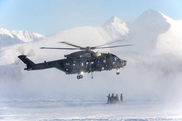 A British Merlin helicopter comes in to land to pick up a load during exercise Clockwork in the Arctic.~~845 Naval Air Squadron is a squadron of the Royal Navy's Fleet Air Arm. Part of the Commando He...