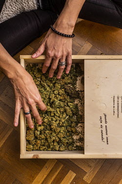 Carola Perez, President of the Spanish Medicinal Cannabis Observatory, with a wooden box designed to 'cure' Marijuana. She has undergone eleven operations since suffering a serious coccyx injury in he...
