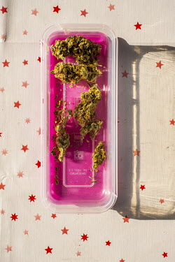 Plastic containers with marijuana buds of different varieties.