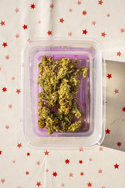 Plastic containers with marijuana buds of different varieties.