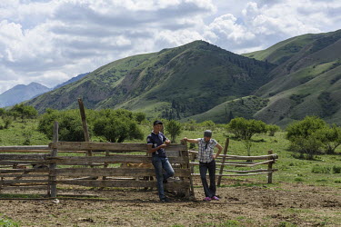 Emrik and Kamaia with cattle in a rural farm. Both of the youths are from nomadic families but have left this way of life.