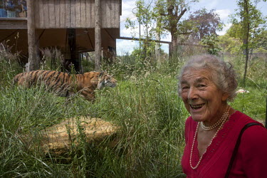 Author and illustrator Judith Kerr, who wrote ''The Tiger who came to tea'', at the tiger enclosure at London Zoo on the day she recieved the Booktrust Lifetime Achievement Award 2016''.