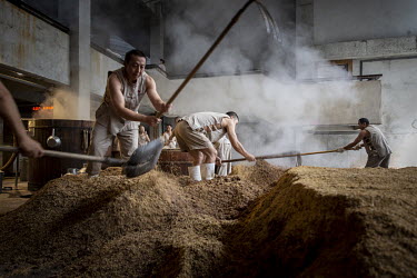 Workers use pitchforks and shovels to stir fermented grain ahead of the alcohol extraction process at a baijiu production facility that is part of the Shuijingfang museum which is operated by Sichuan...