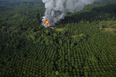 A wooden longhouse burning in an oil palm plantation in Rumah Majang Ringkai.