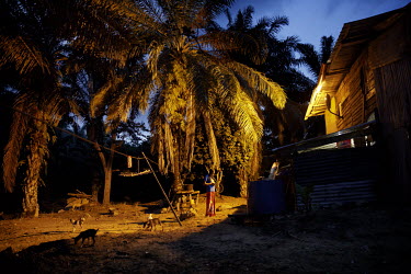 Mimi Franciscus Dolo checks her mobile phone outside her family home in the grounds of an oil palm plantation.