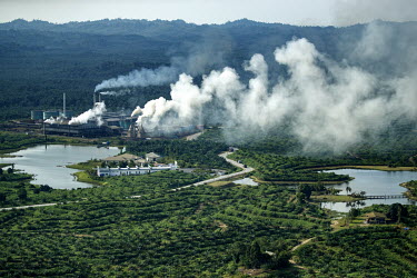 An oil palm mill surrounded by a plantation.