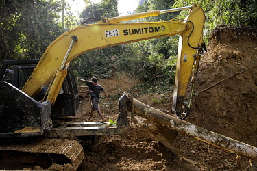 Illegal logging in the Buan Forest Reserve. The land is being cleared to establish a palm oil plantation.