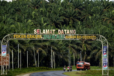 Oil palms surround a road where a sign reads: 'Welcome to Sukau the Land of Biodiversity', as a lorry carrying palm oil passes along the road.