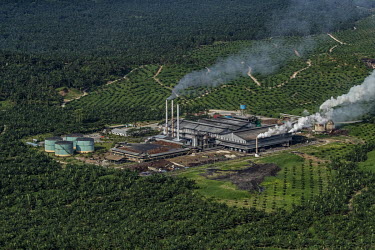 A palm oil mill surrounded by a vast plantation.