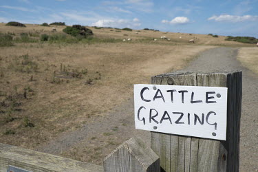 A sign reads: 'Cattle Grazing'.