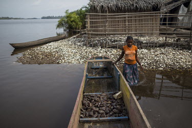 A woman stands beside a boat on mounds of clam shells on the banks of one of the many water channels that run among the mangrove forest. Women dive as deep as four metres to collect the clamps that th...
