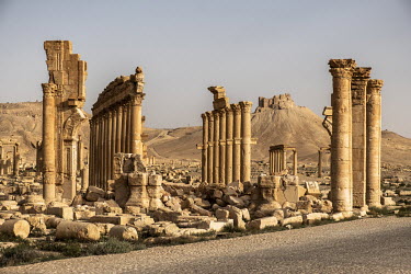 Ancient ruins in the Roman city of Palmyra following the destruction wrought on the site by ISIS during their two occupations. In the background on the hill, are the remains of the ancient citadel bui...
