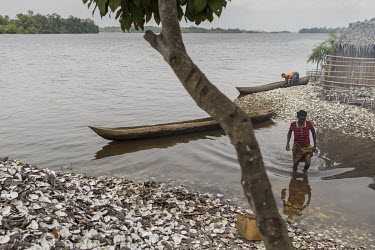 A woman walks beside a boat, on mounds of clam shells that have grown on the banks of one of the many water channels that run among the mangrove forest. Women dive as deep as four metres to collect th...