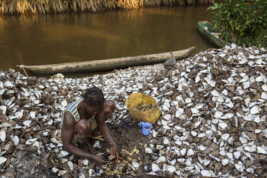 A woman shells clams on the banks of one of the many water channels that run among the mangroves. Women dive as deep as four metres to collect the clamps that they sell on skewers in nearby cities. En...