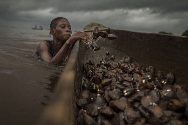 Sephora deposits clams into a canoe (pirouge) after collecting them from the bed of one of the many water channels that run among the mangrove forest. Women dive as deep as four metres to collect the...
