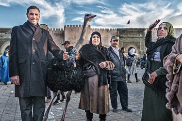 A couple is posing for the picture with an ostrich on Place El Hedim in front of the Bab El-Mansour gate. The owner slaps the ostrich to keep his neck straight.