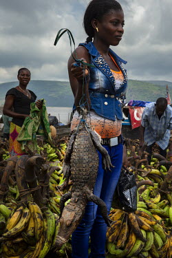 A woman travelling to her home village carries a small crocodile, caught by her husband, which she plans to sell for around GBP 12.
