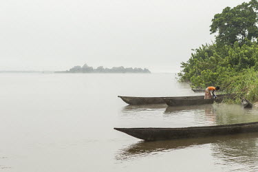 A woman washes dishes while standing in a canoe moored on the banks of the River Congo.