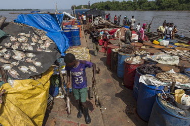 A young boy trying to sell fish on one of the many barges that make up a flotilla sailing up the Congo River.