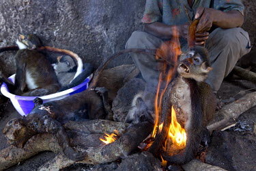 In Igende, a village on the Ruki River, a man burns fur off a monkey as it is prepared for market where they will be sold for around USD 20.00.