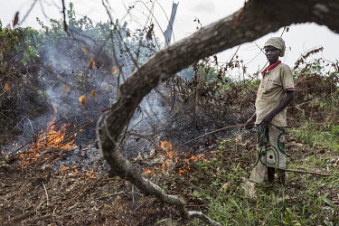A woman burns the undergrowth on an area of land she plans to cultivate. The ashes from the fire are a potent fertilizer but the fire also produces CO2 and air pollution.