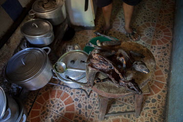A restaurateur displays a pair of lemurs that have been dried and are ready for preparation and cooking. A dish of lemur is sold for about 3,000 Aryary (GBP 1.00). The lemurs are mostly hunted in May,...
