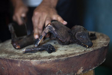 A restaurateur prepares a pair of lemurs that have been dried and are ready for cooking. A dish of lemur is sold for about 3,000 Aryary (GBP 1.00). The lemurs are mostly hunted in May, June and July w...