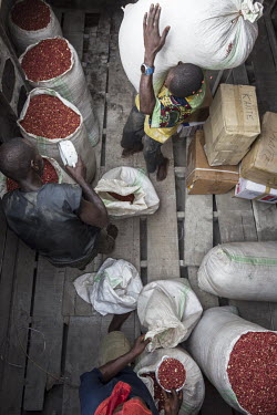 Sacks of peanuts (groundnuts) are loaded aboard one of the many barges that make up a flotilla sailing up the Congo River.