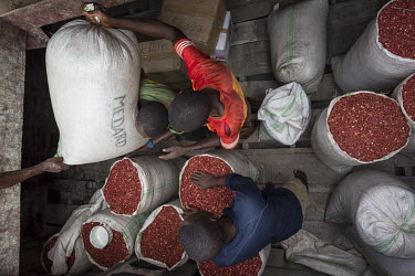 Sacks of peanuts (groundnuts) are loaded aboard one of the many barges that make up a flotilla sailing up the Congo River.