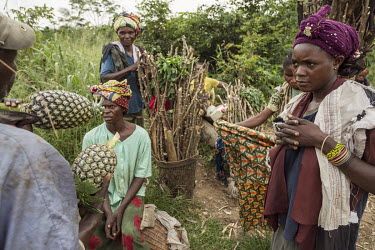 A man examines pineapples being sold by some women.