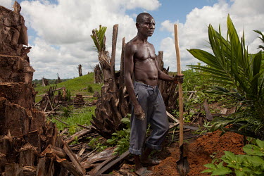 A labourer gets ready for work on a rehabilitated palm oil plantation. Congo once was an important exporter of palm oil. Now this oil is exclusively cultivated for local use. Palm oil is an edible veg...