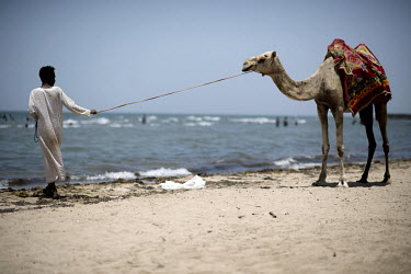 A Rashaida bedouin with camel walks along the seafront at the Gurgusum Beach Resort Hotel where many of the tourists are Eritreans who live overseas and have returned for a visit to their home country...