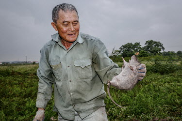 Hung, his uncle Thy and his friend Trung use nets as they hunt farmland for rats which are considered a delicacy in the region. They are commonly found in paddy fields and along irrigation canals wher...