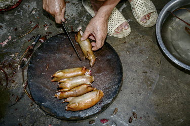 Smoked rats, caught on local farmland, are prepared for sale by a street vendor. The rodents, considered a delicacy in the region, are commonly found in paddy fields and along irrigation canals where...