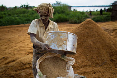 A woman searches rice husks for any grains that have been missed during the decortication process. In the background is the Congo River.
