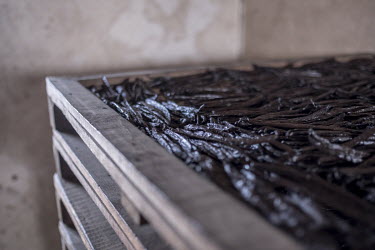 Vanilla pods dry out on racks at a warehouse in Antalaha.