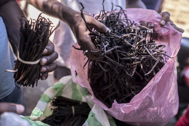 Street traders examine bags of vanilla pods.